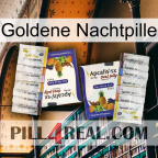 Golden Night Pill 12